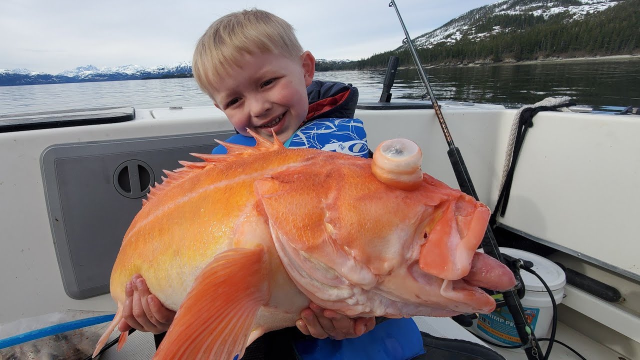 3 Days Camping in Alaska & Eating What We Catch – Shrimp, Rock Fishing and Halibut Catch & Cook