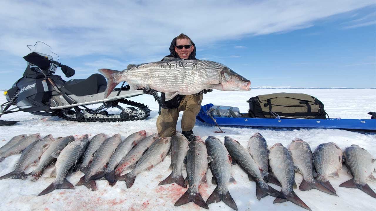 4 Days Camping & Fishing on Arctic Ocean – GIANT Sheefish Catch & Cook Alaska Adventure