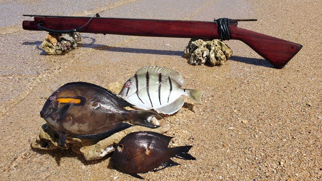 I Built a Primitive Speargun from Scratch – Primitive Fishing Catch & Cook Challenge!