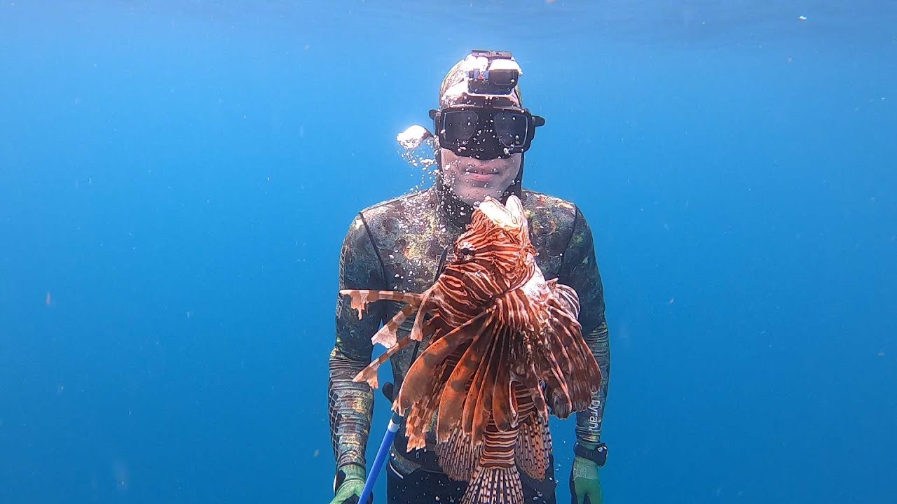 2 Day Florida Fishing Catch & Cook – Lobster, Lionfish & Snapper  Spearfishing Trip