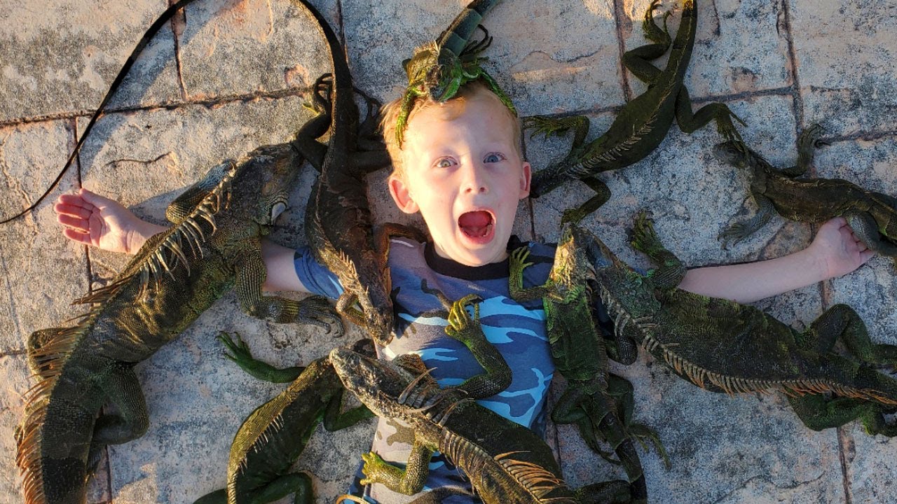 14 Days Fishing & Hunting Invasive Species in Florida (Catch & Cook) – 18 Invasive Species!!!