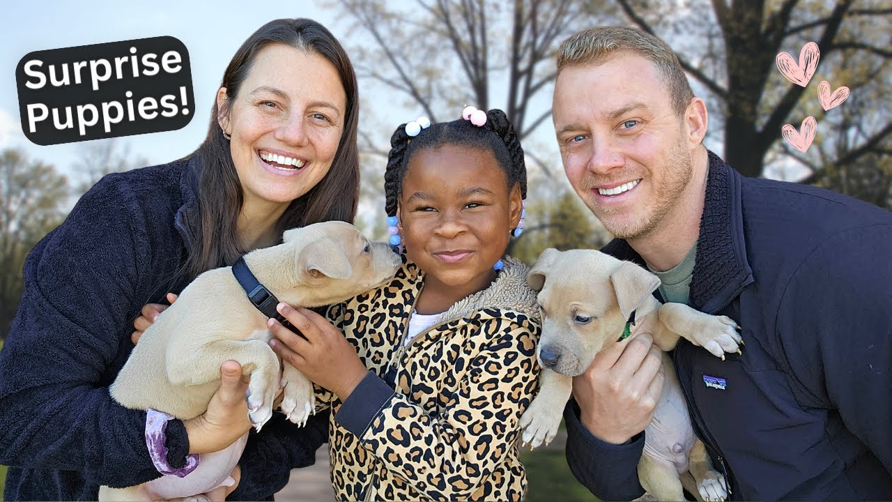 Surprising Our Daughter With Puppies!