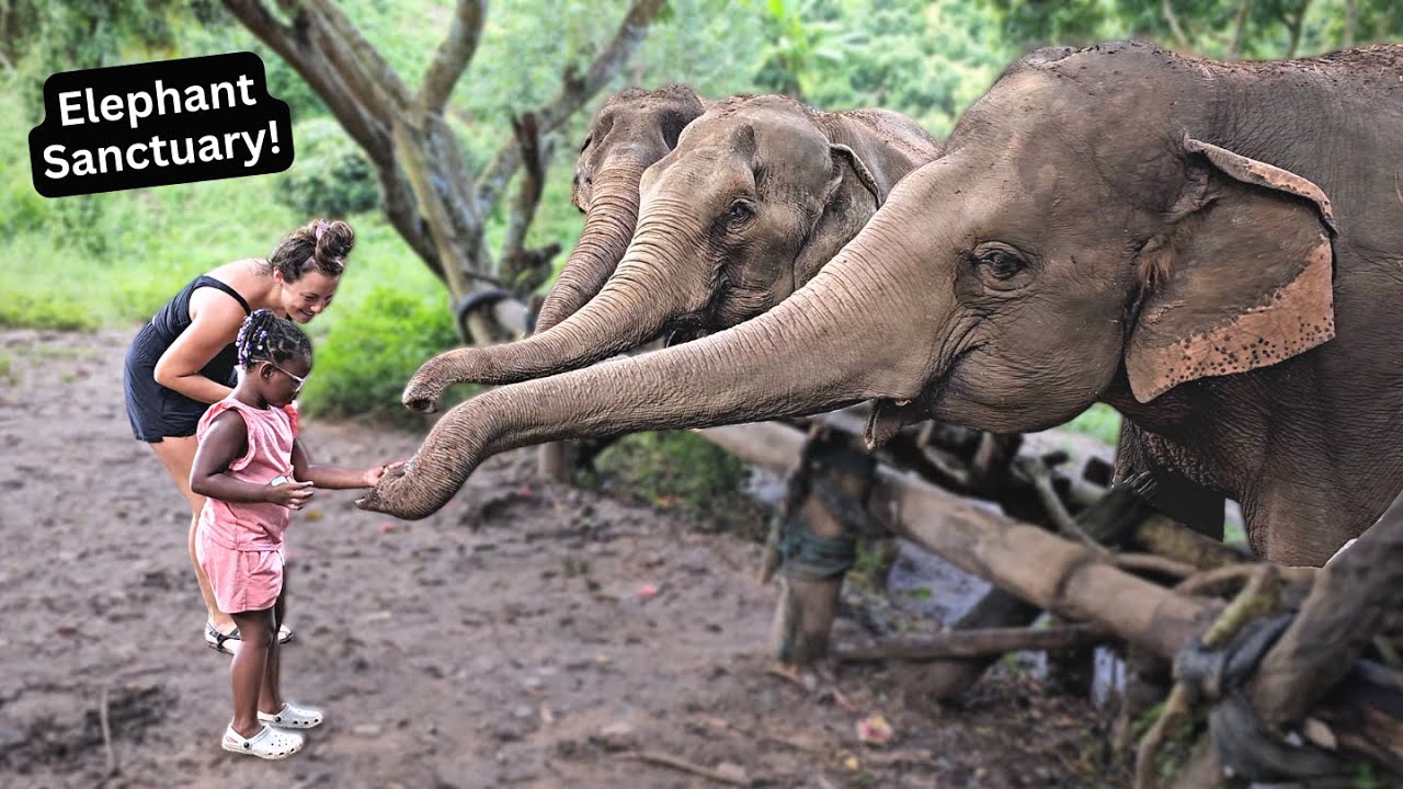 Tyanna’s 5th Birthday Surprise | Elephant Nature Park!