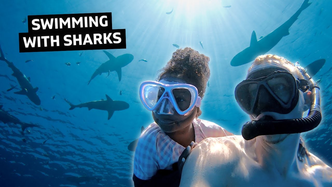 3 Year Old Swims with Sharks & Whales in Moorea!