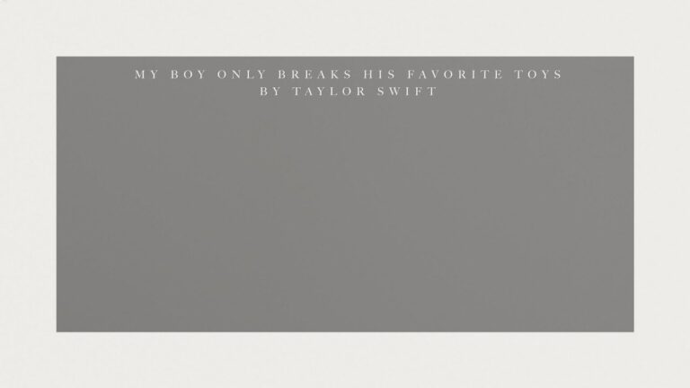 Taylor Swift - My Boy Only Breaks His Favorite Toys (Official Lyric Video)