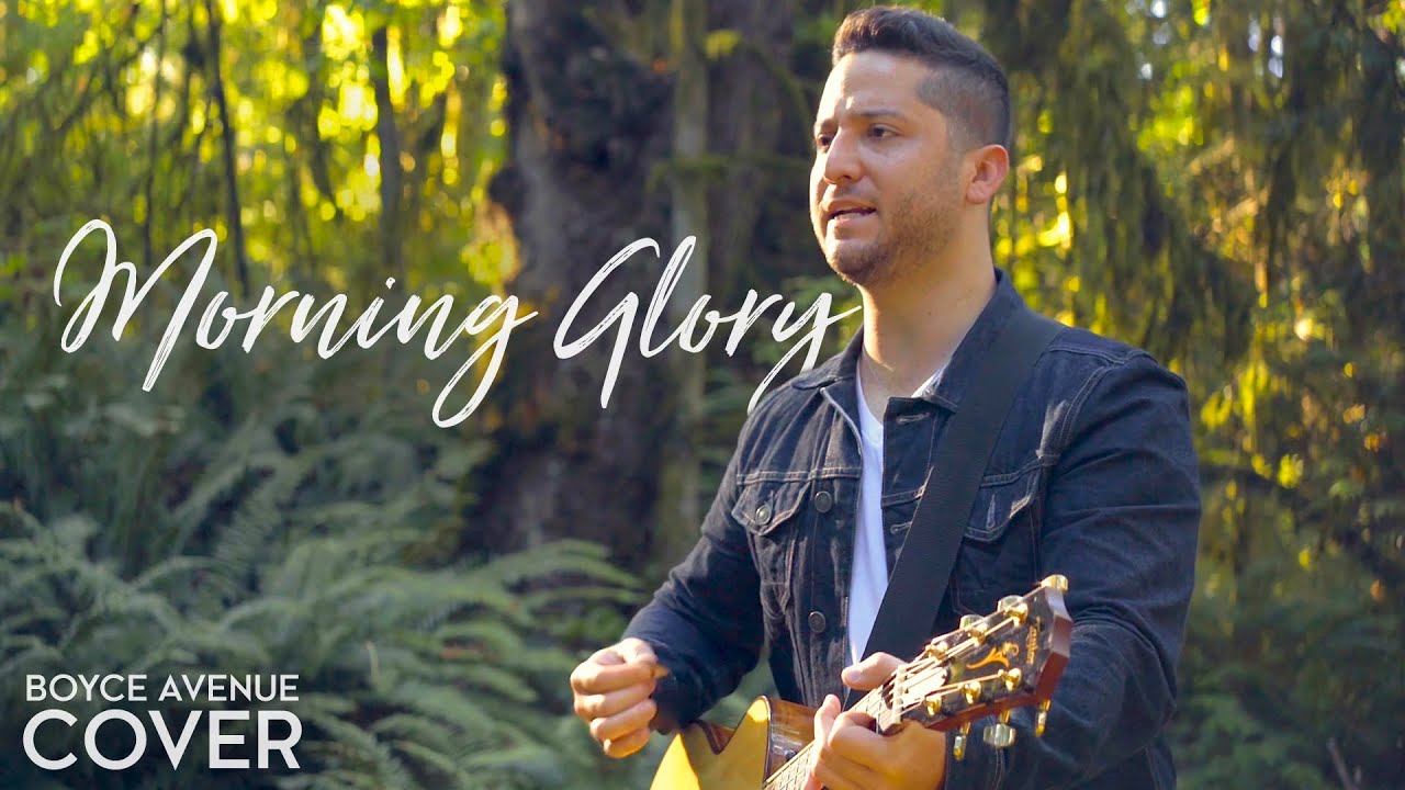 Morning Glory – Oasis (Boyce Avenue acoustic cover) on Spotify & Apple