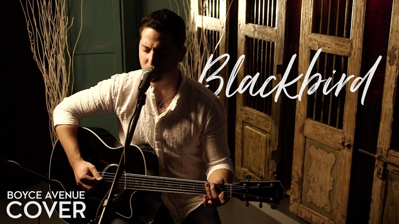 Blackbird – The Beatles (Boyce Avenue acoustic cover) on Spotify & Apple