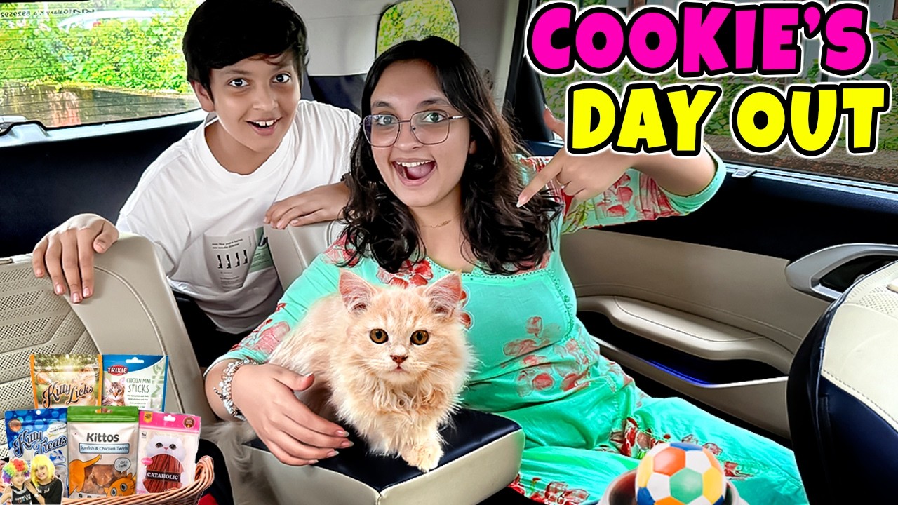 FULL DAY IN CAR | Masti with Cookie in Car | Aayu and Pihu Show