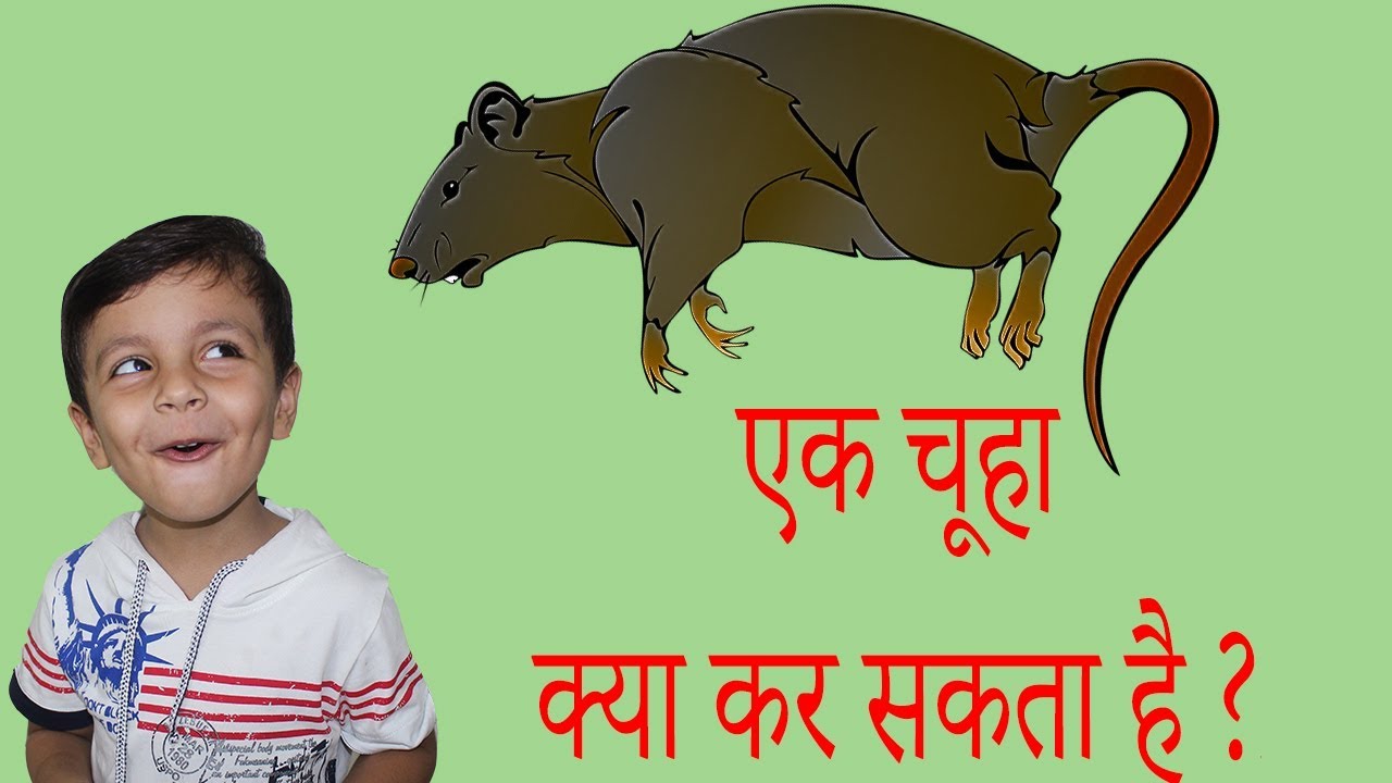 TOP 10 FACTS ABOUT RATS | Indian Funny Videos | Hindi Videos for kids | Aayu and Pihu Show