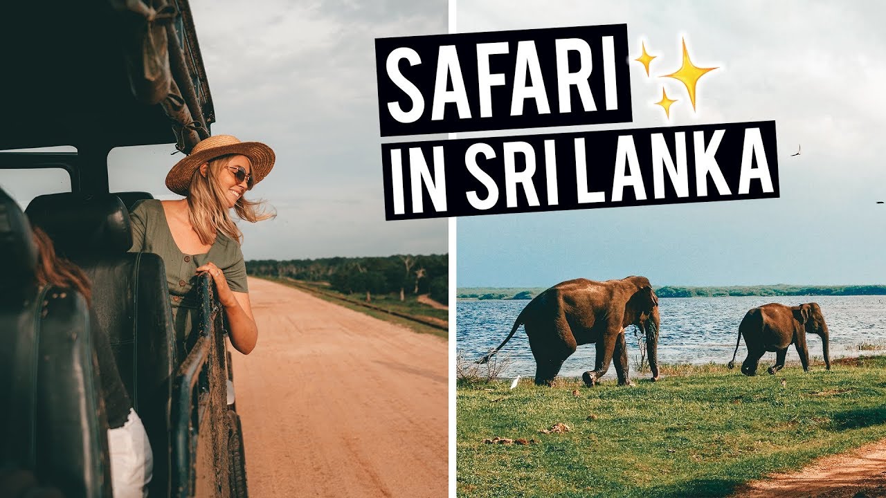 Safari Experience in Sri Lanka | Yala National Park