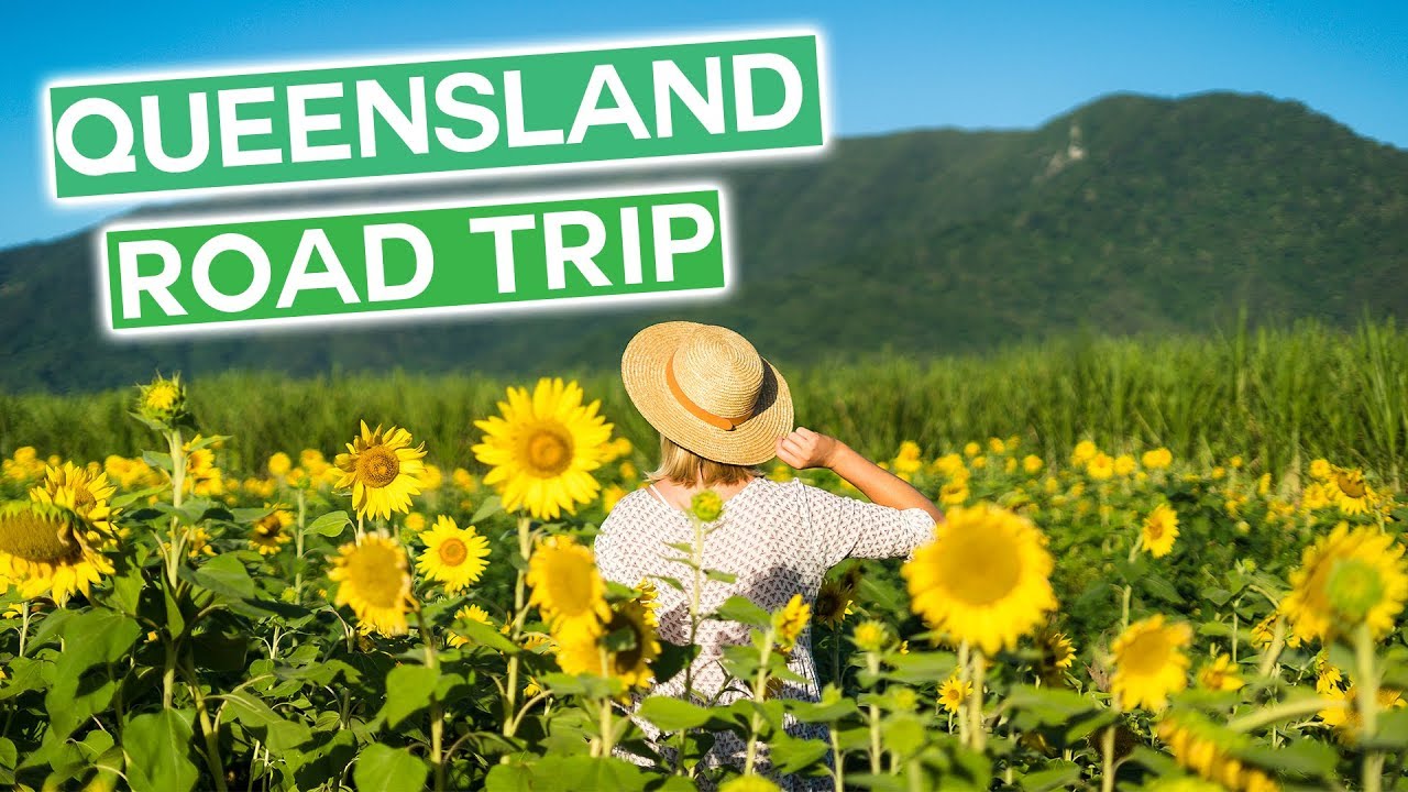 FILMING OUR BIGGEST VIDEO YET | Whitsundays to Cairns Road Trip Weekly Vlog