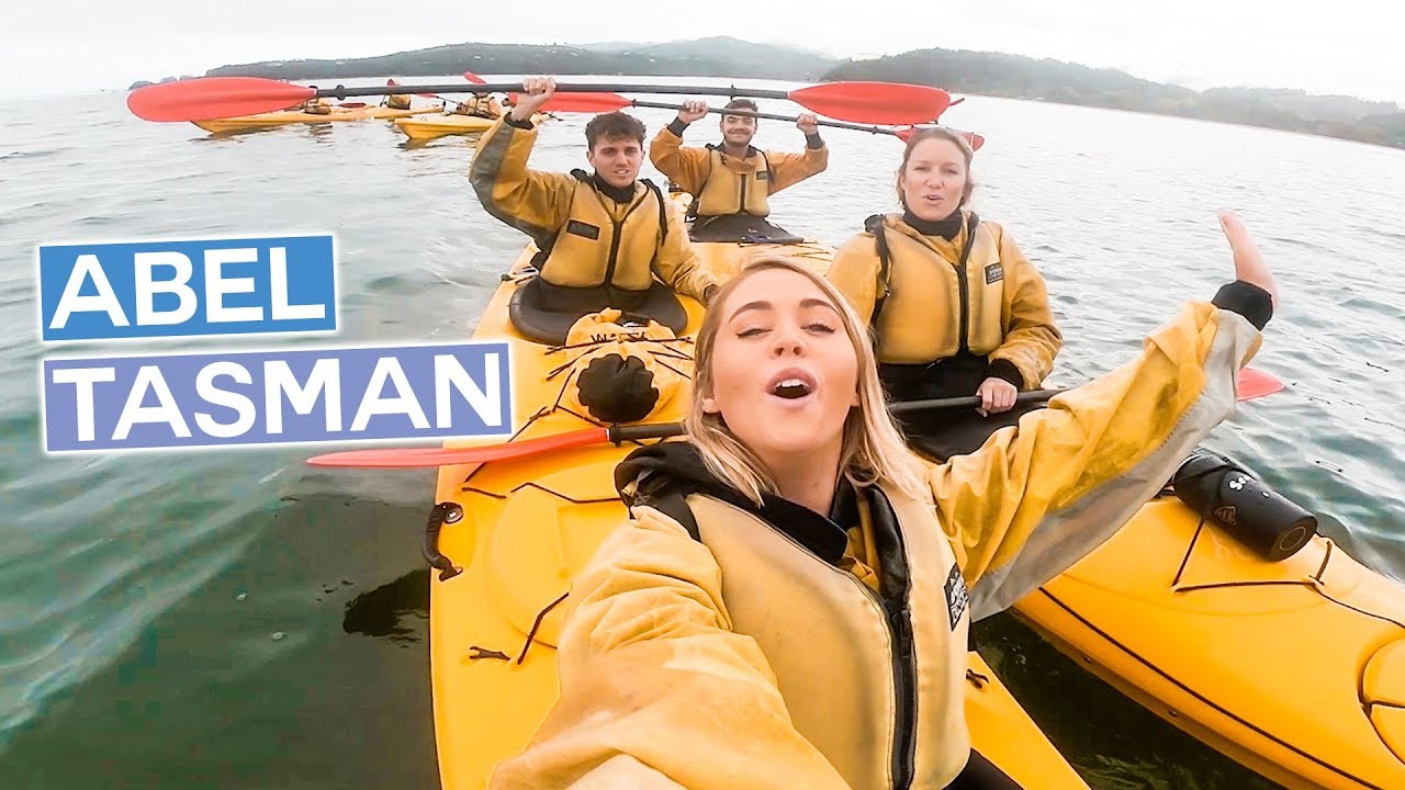 Who Knew That SOUTH NEW ZEALAND Looked Like THIS!!! Kayaking Abel Tasman | Wild Kiwi
