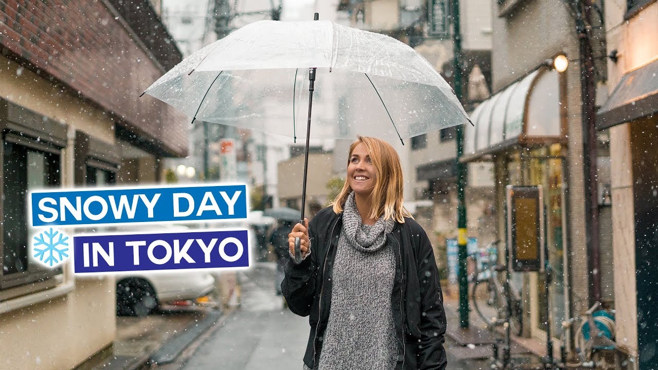 Snowy Day in Tokyo – Japan in Winter Vlog