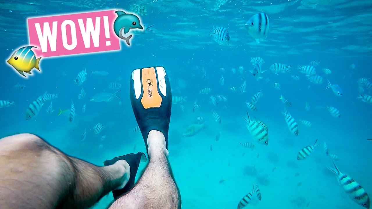 Is this the Best Diving Spot in the World? | Soneva Kiri Thailand