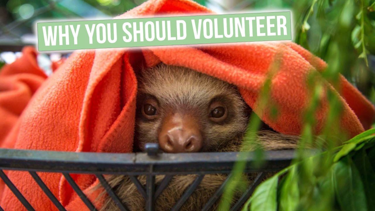 Couple Volunteers Around the World for 2 Years