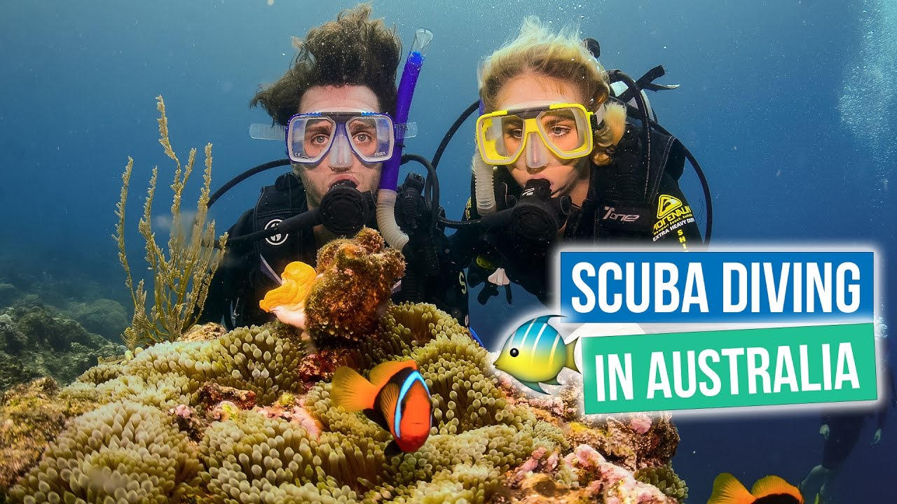 Scuba Diving in the Great Barrier Reef
