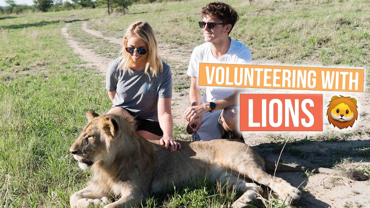 Unforgettable Experience in Zimbabwe