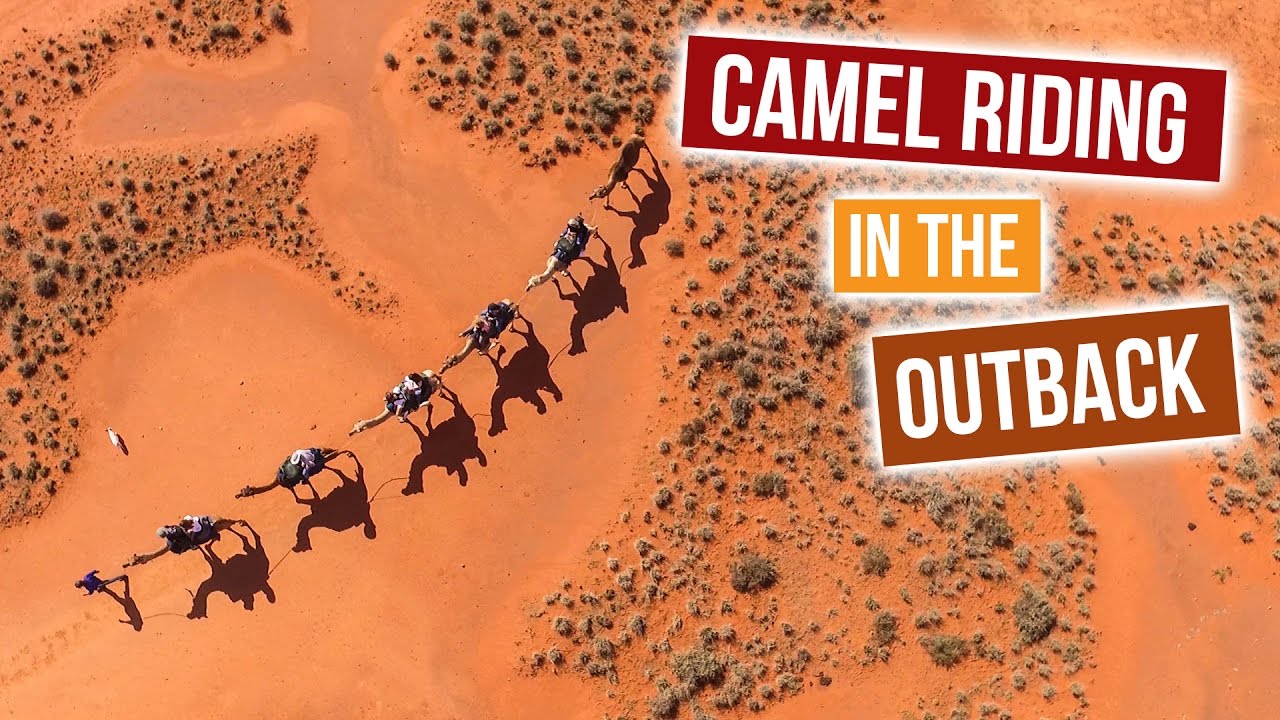 Camel Riding in the Australian Outback