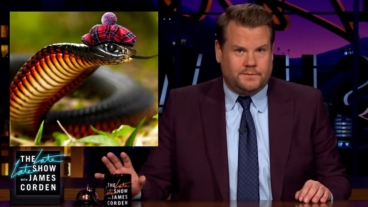 This Venomous Snake Has a Sassy Little Golf Hat