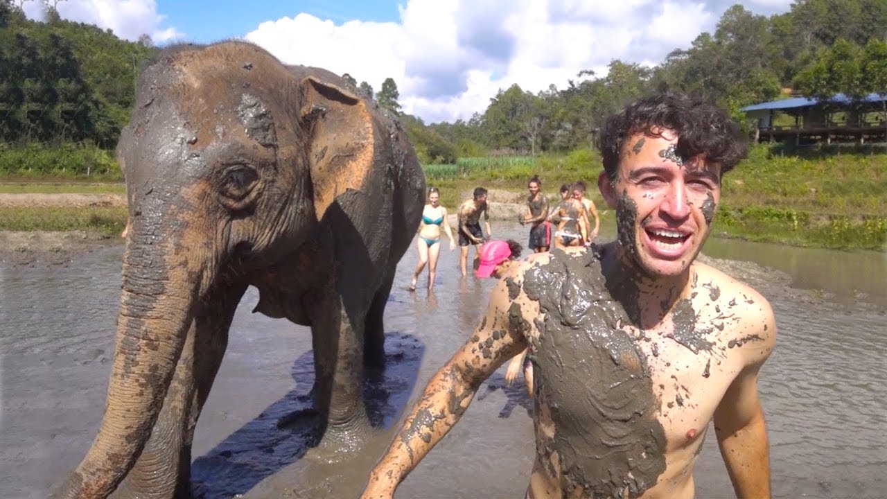 MUD BATH with an ELEPHANT! Chiang Mai Thailand