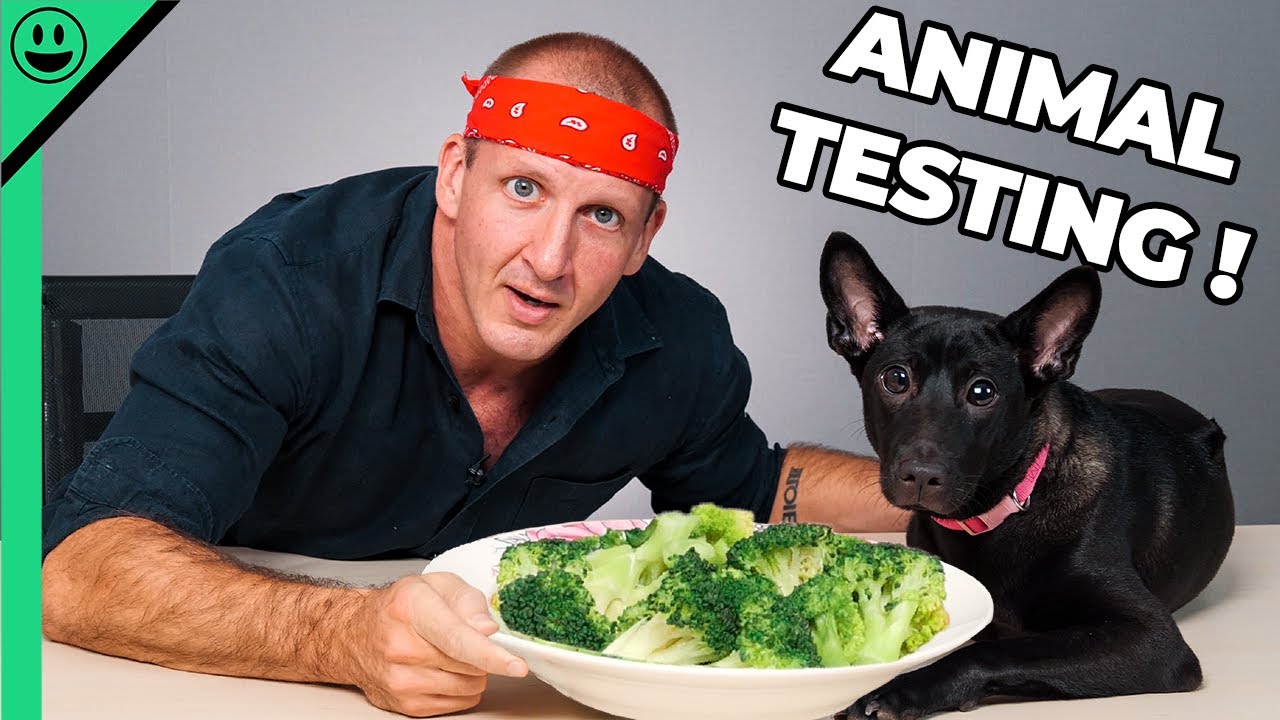 Food Challenge with My Dog! My Wife is Gonna Kill Me!