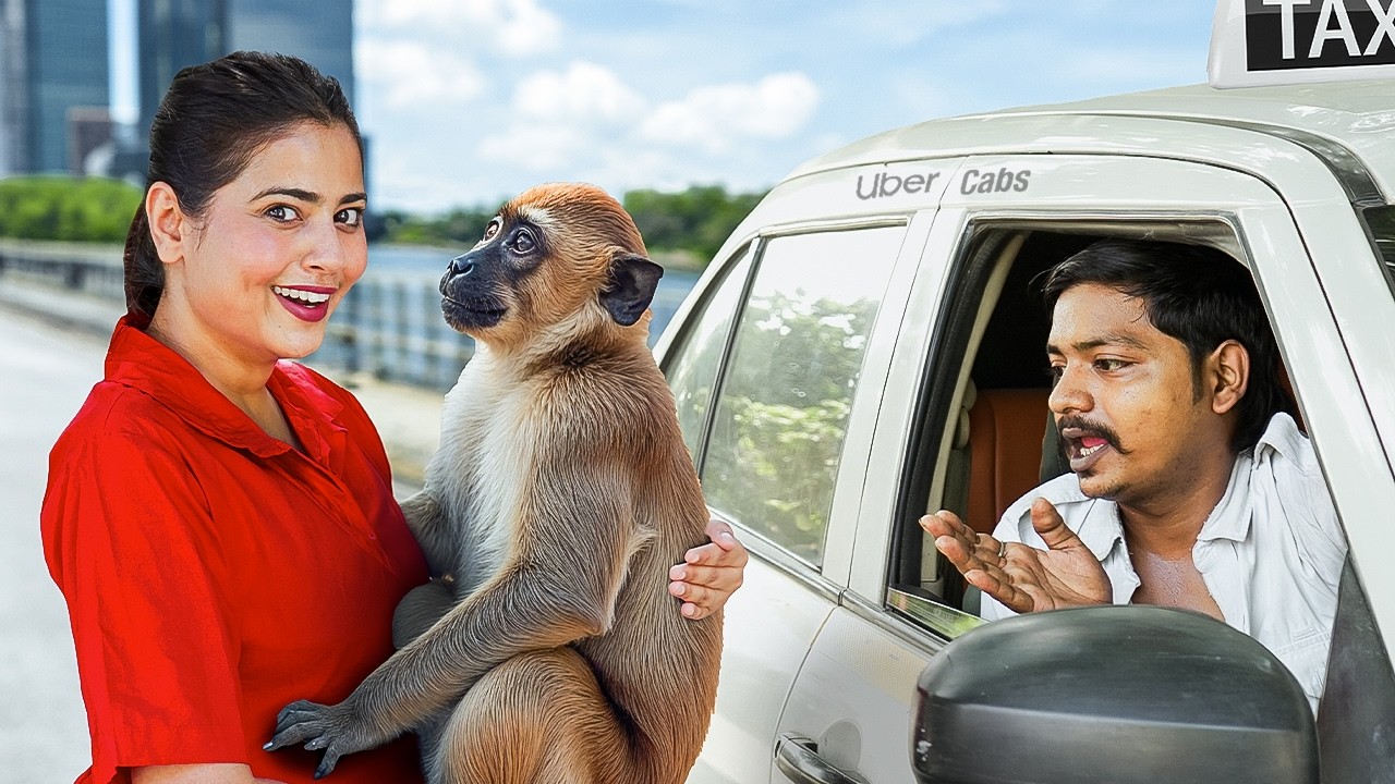I Booked an Uber for a Monkey !