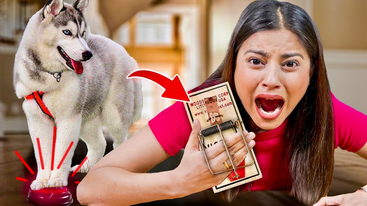 My Dog Controlled My Life for 24 Hours !