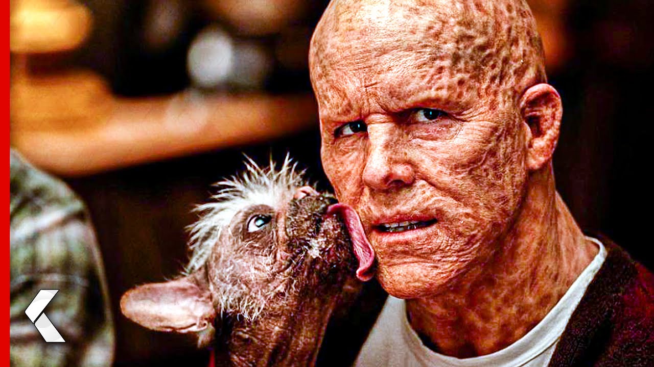 New DEADPOOL 3 Images Show Off Sidekick Dogpool! – KinoCheck News