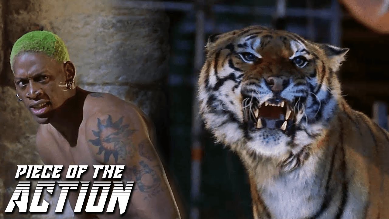 Tiger Set Loose In Amphitheater | Double Team