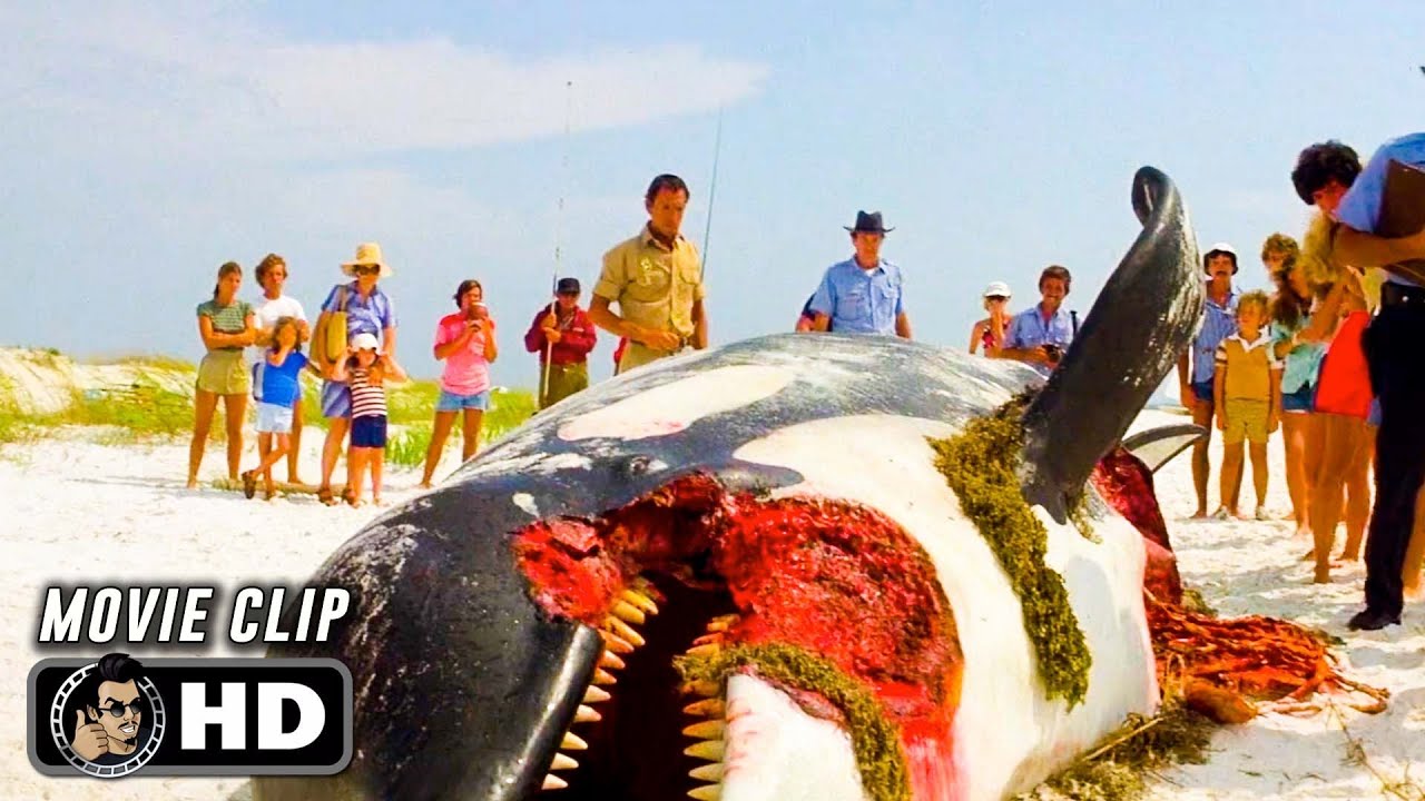 Dead Whale Scene | JAWS 2 (1978) Movie CLIP HD