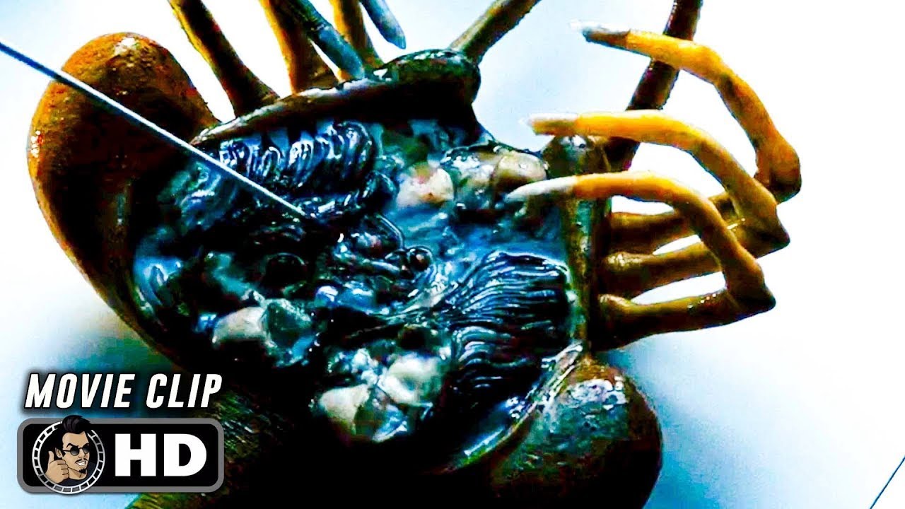 Dead Facehugger Scene | ALIEN (1979) Movie CLIP HD