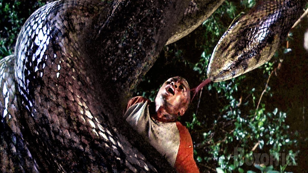 Prey Of The Giant Anaconda(s) | Anacondas: The Hunt for the Blood Orchid | CLIP