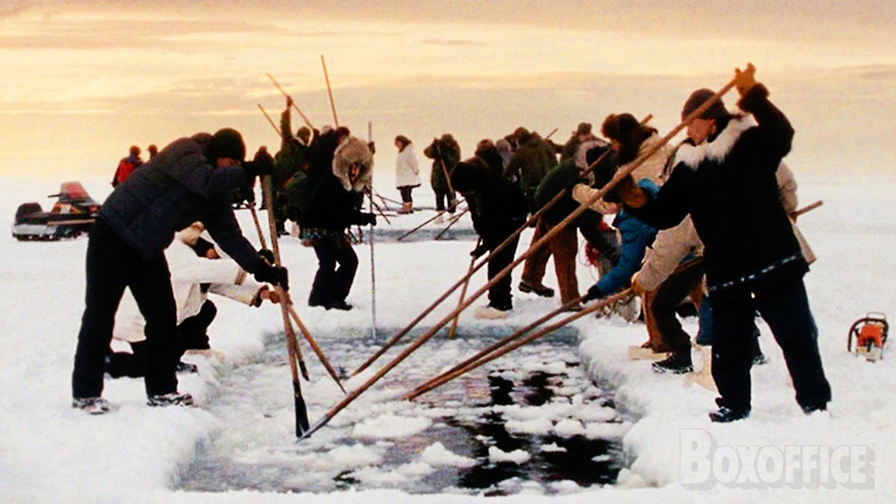 Digging holes to save whales | Big Miracle | CLIP