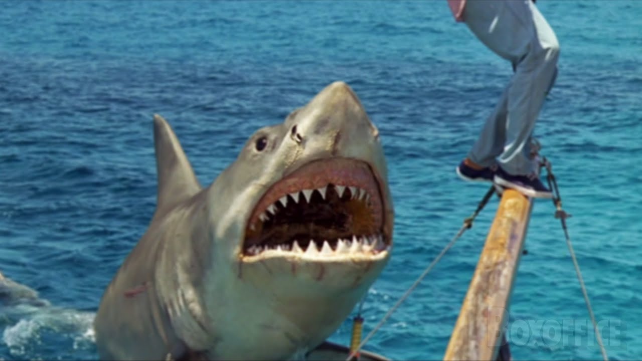 The Best Shark Attacks from Jaws: The Revenge   4K