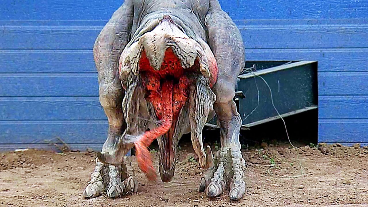 “If you don’t move they can’t find you” | Tremors 2: Aftershocks | CLIP