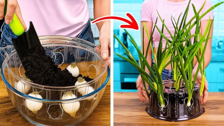 GENIUS GARDENING HACKS TO GROW FRUITS & VEGGIES AT HOME!