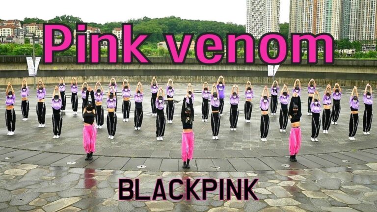 Pink Venom (핑크베놈) - BLACKPINK l 광교호수공원 야외촬영 l 거울모드 Mirrored l 찐핏 회원님들과