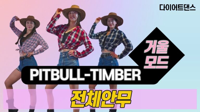 Timber (팀버) - Pitbull l 신나는 팝댄스 l 거울모드 Mirror Mode l 지니댄스핏안무