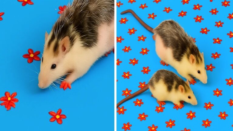 Unleash your inner artist   Fun painting hacks for you to try!