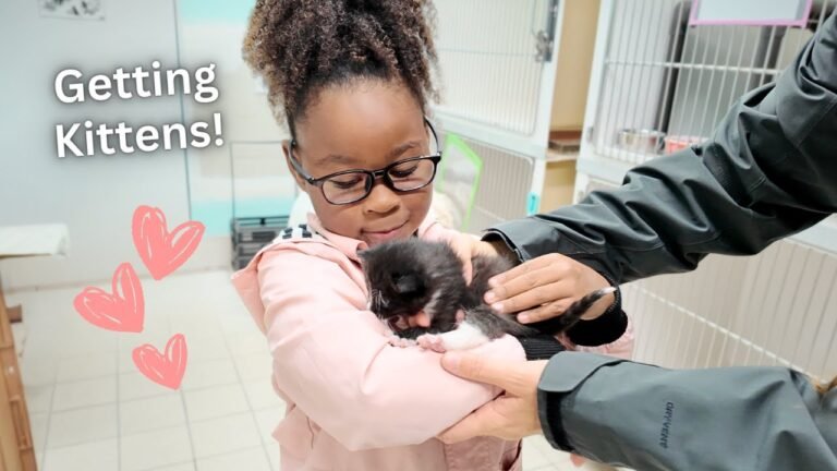 Getting Kittens From the Shelter!-The Schoeller Family