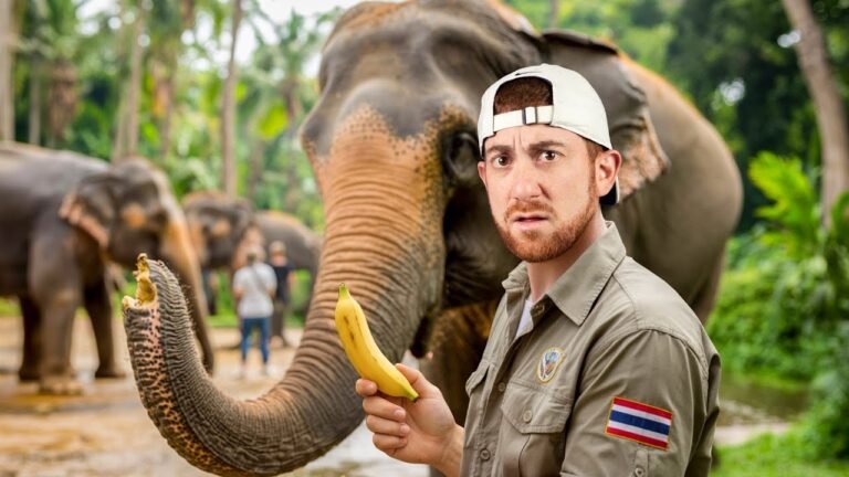 How Tourism Changed Thailand-Drew Binsky