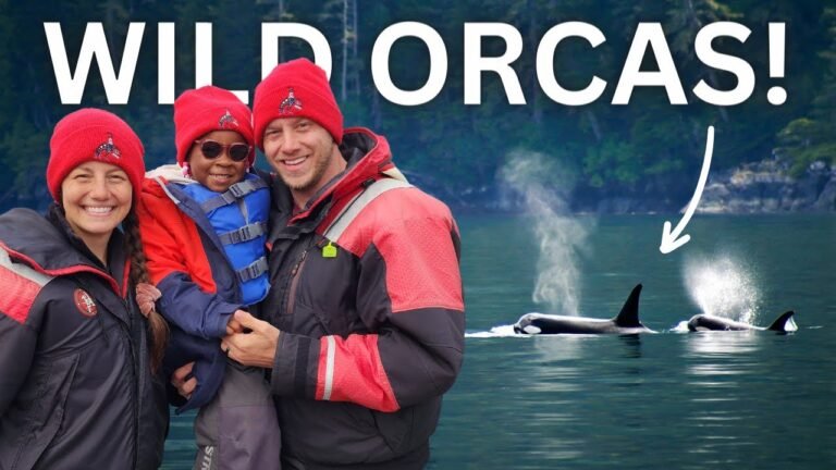 San Juan Island | We Saw WILD KILLER WHALES!-The Schoeller Family