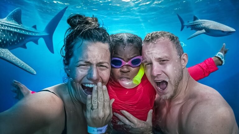 Swimming with Whale Sharks in Mexico!-The Schoeller Family