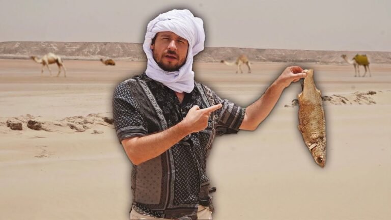 ¿Por qué hay pescados bajo la arena del desierto del Sahara? | DAKHLA-Luisito Comunica